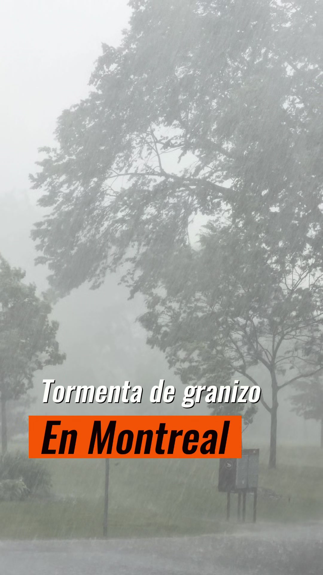 @Hola Montreal