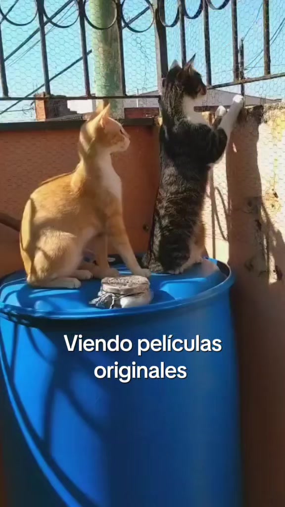 @JSantiago💛