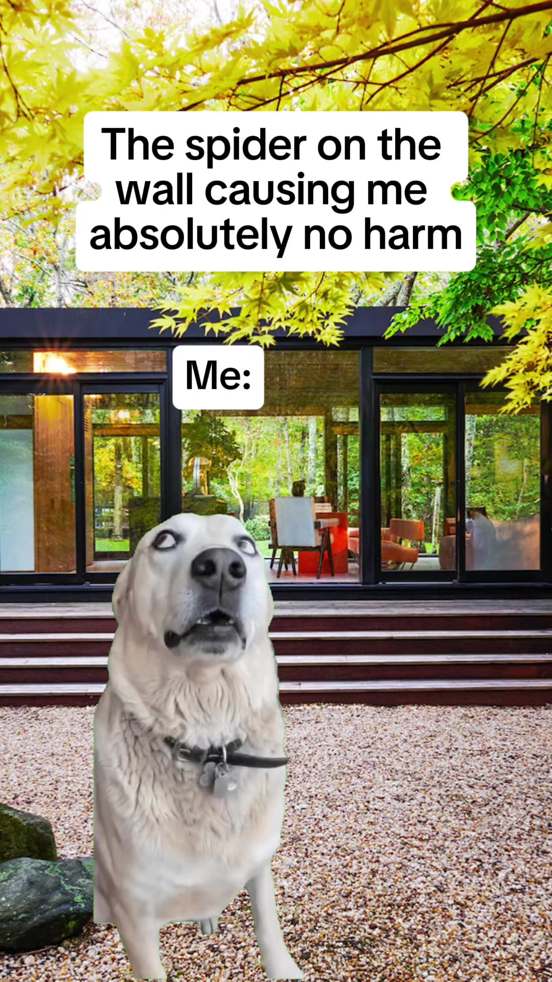 @meme