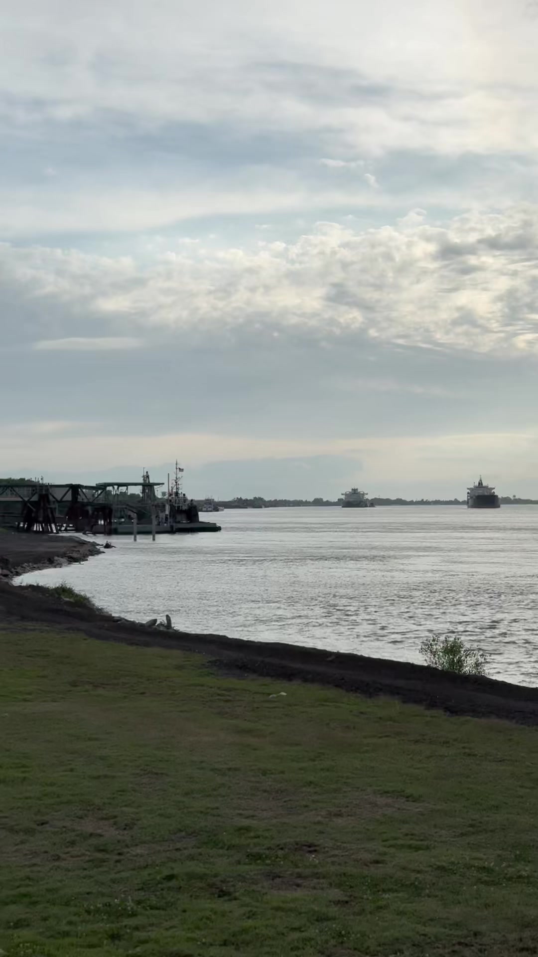 @monymolinar