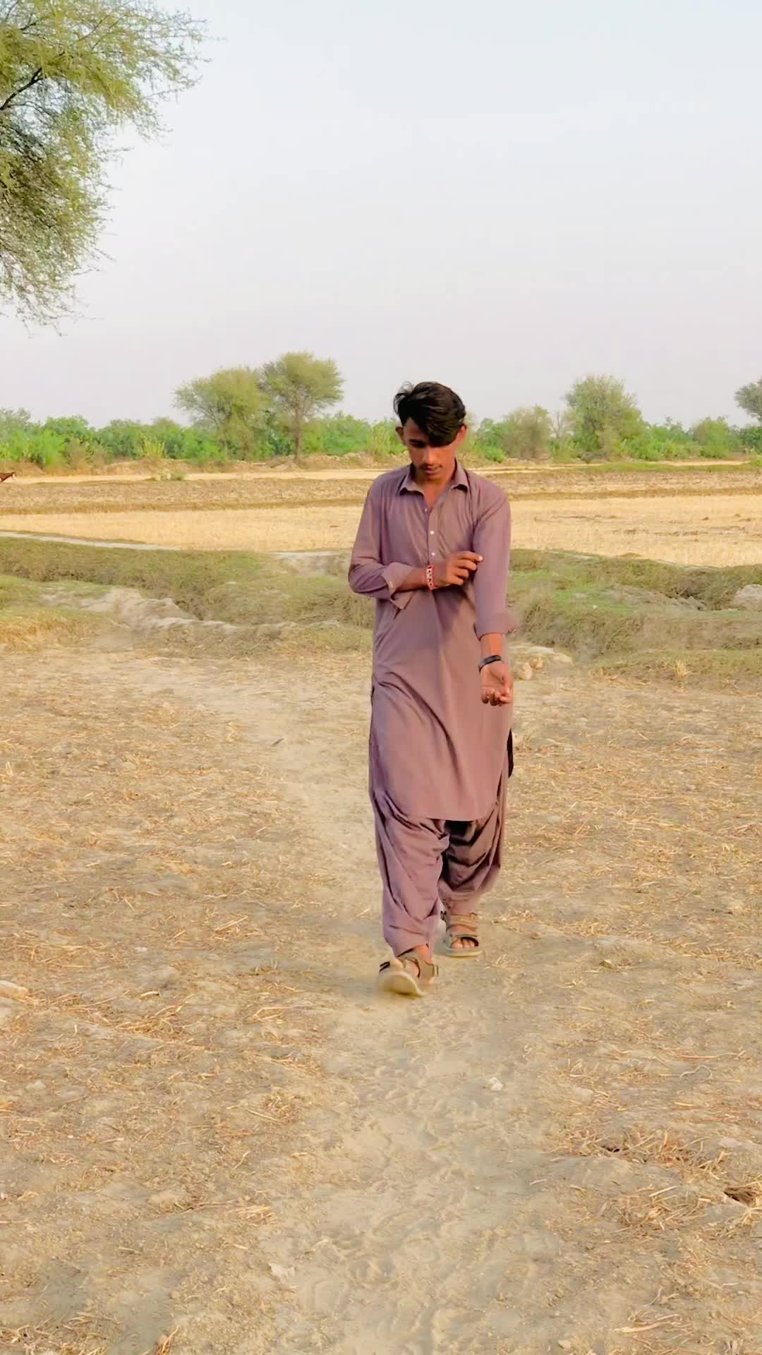 @King-Panah-Sindhi