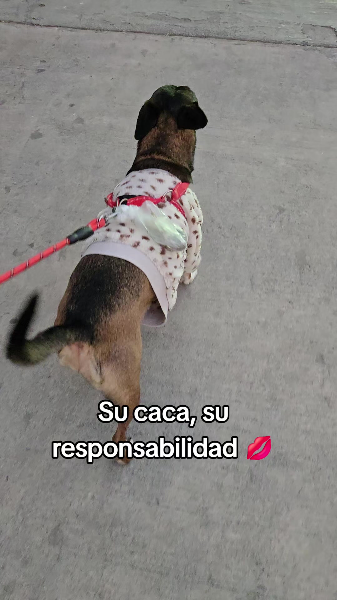 @Janni
