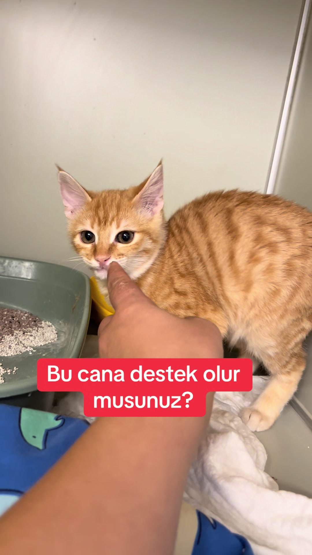 @Yesiminpatileri61