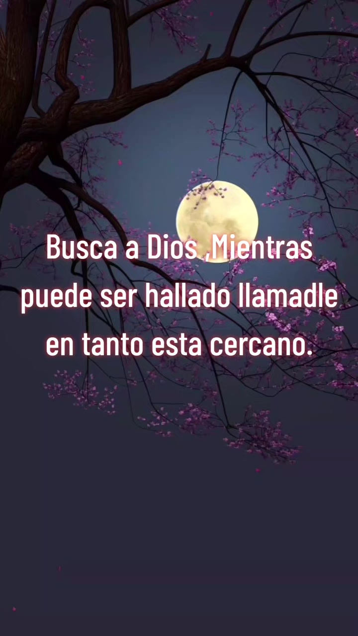 @Rema con Dios ⛵️🛶🐑