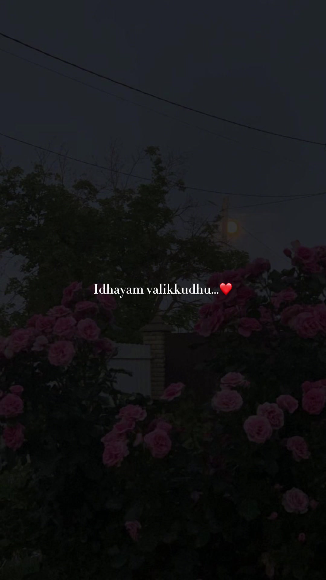 @11:08 ๐