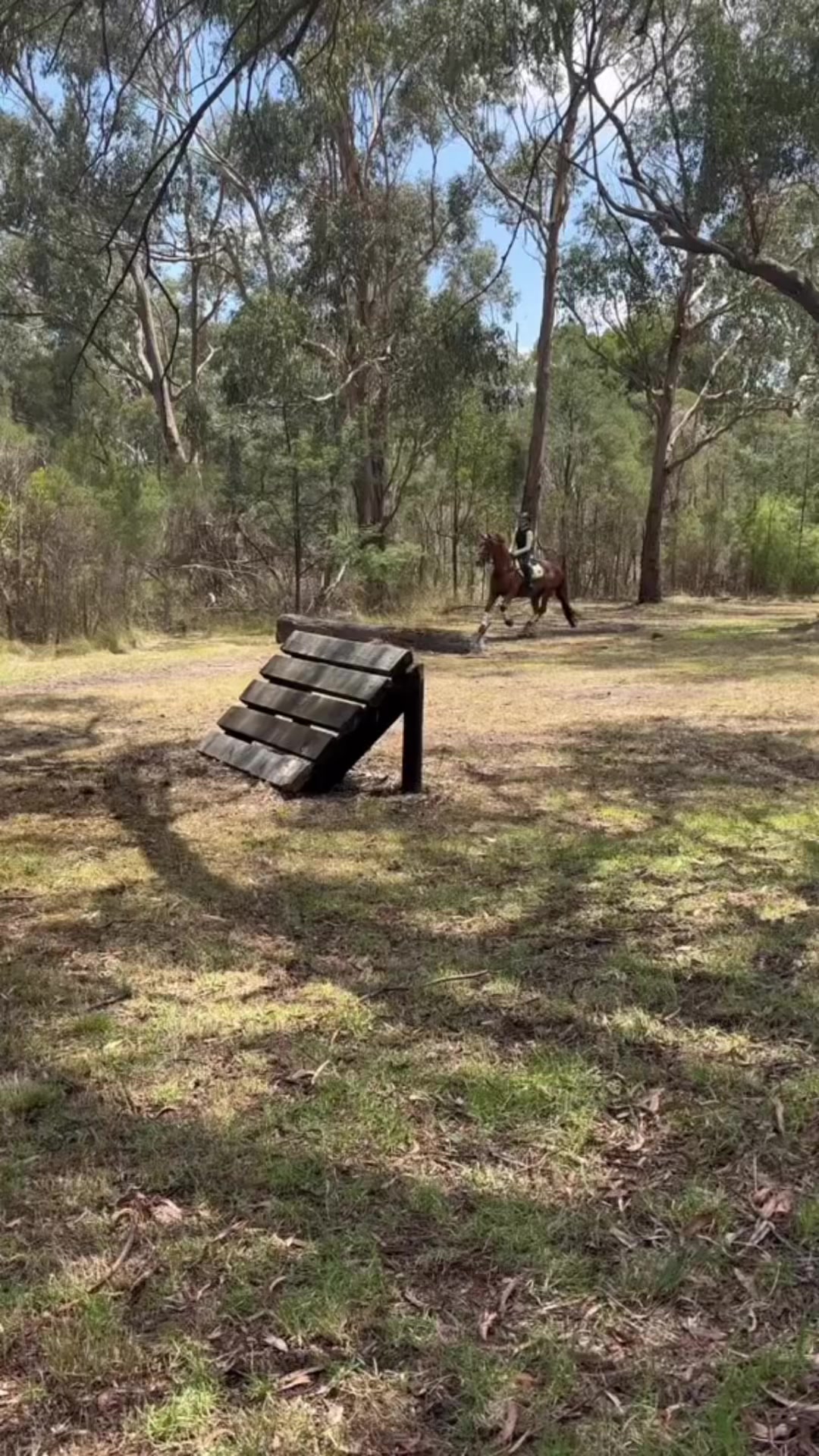 @niamh
