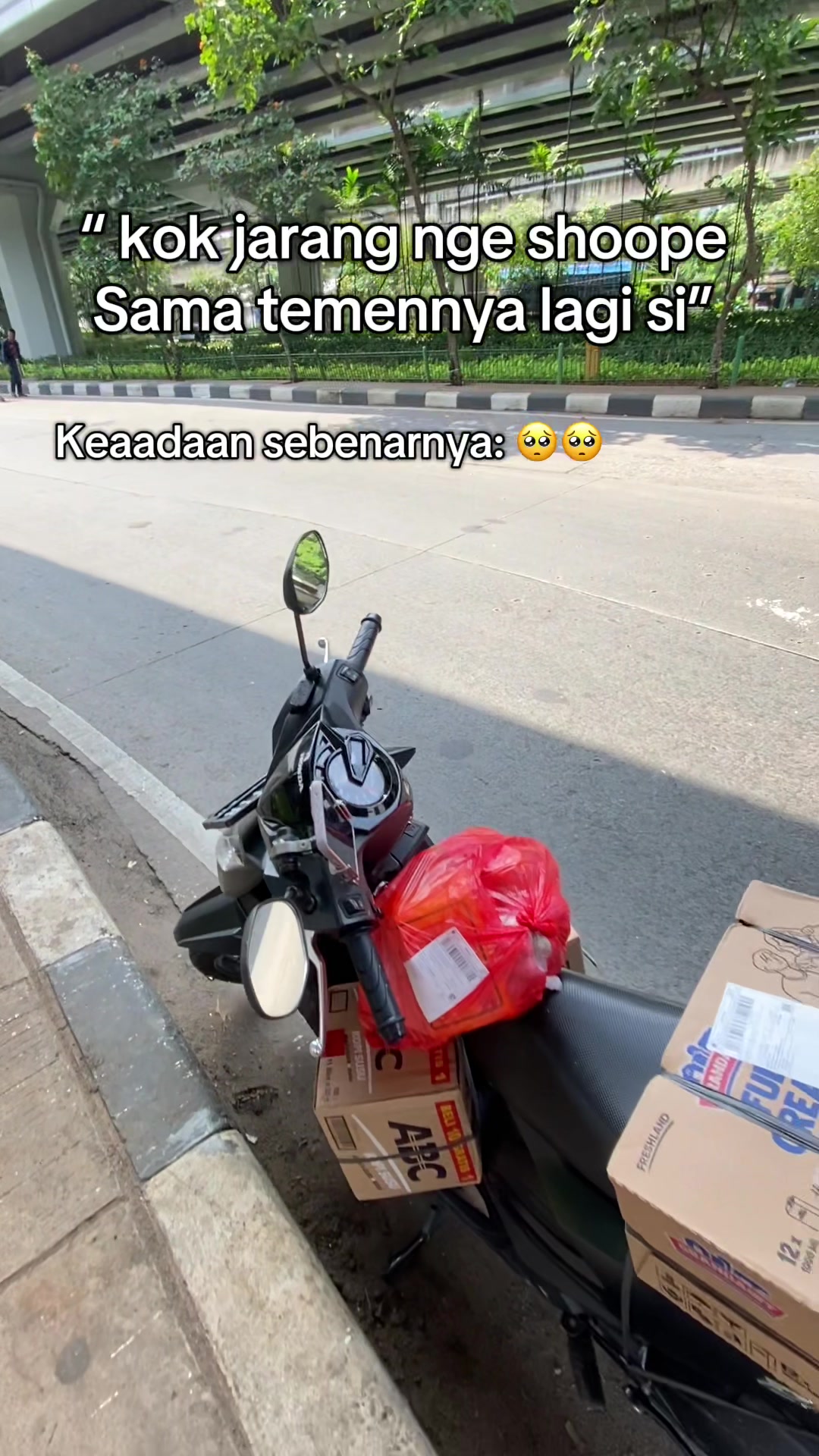 @Anisa
