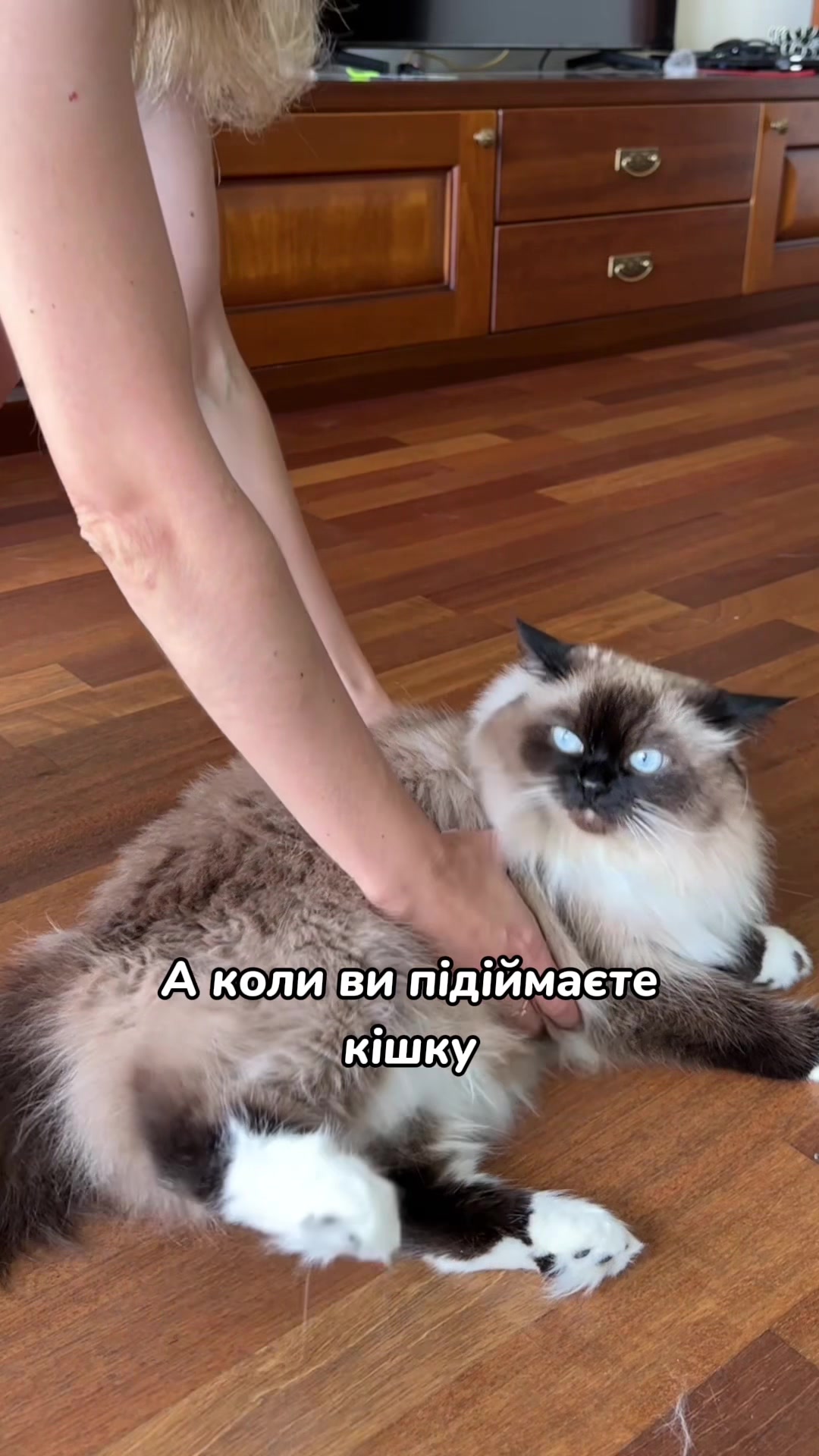 @Місс КІСЯ