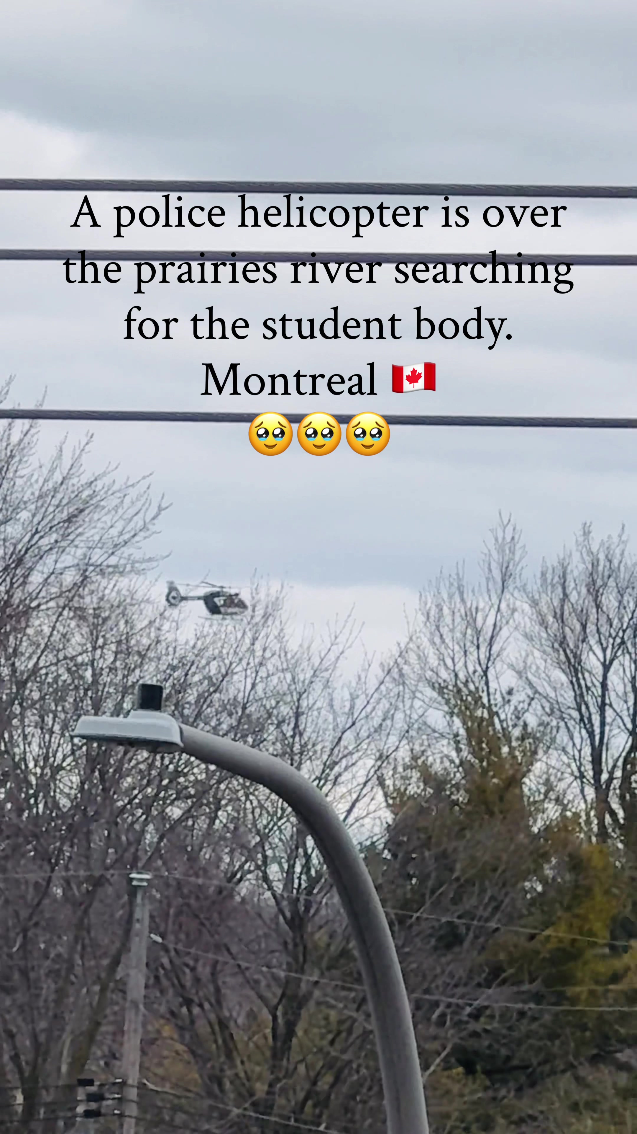 @🇮🇳Pahari Canadian 🇨🇦