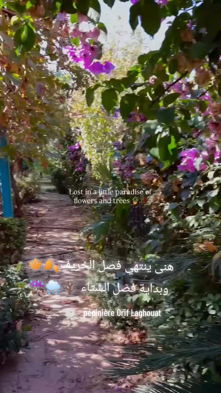 @P&eacute;pini&egrave;re ORIF Laghouat