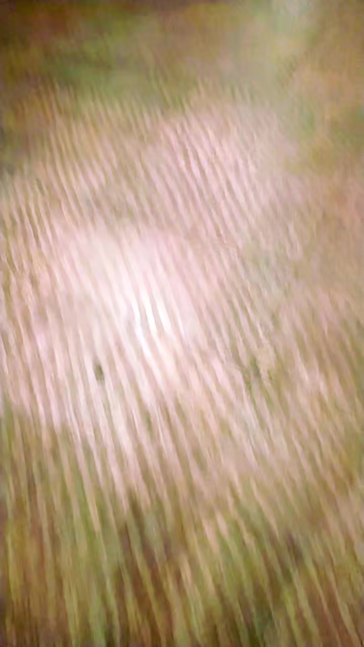 @Abdullah Aslım42