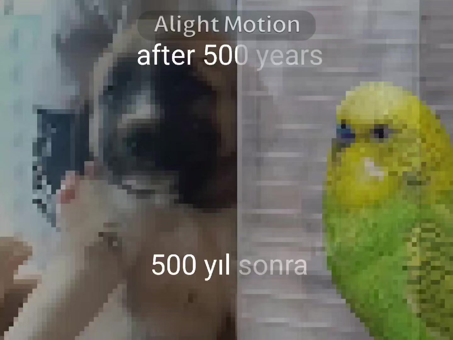 @Fındık🐶🐾