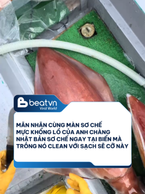 @Beatvn Viral World
