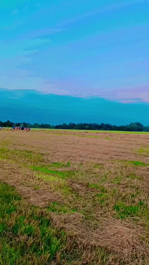 @Azvip-Agro