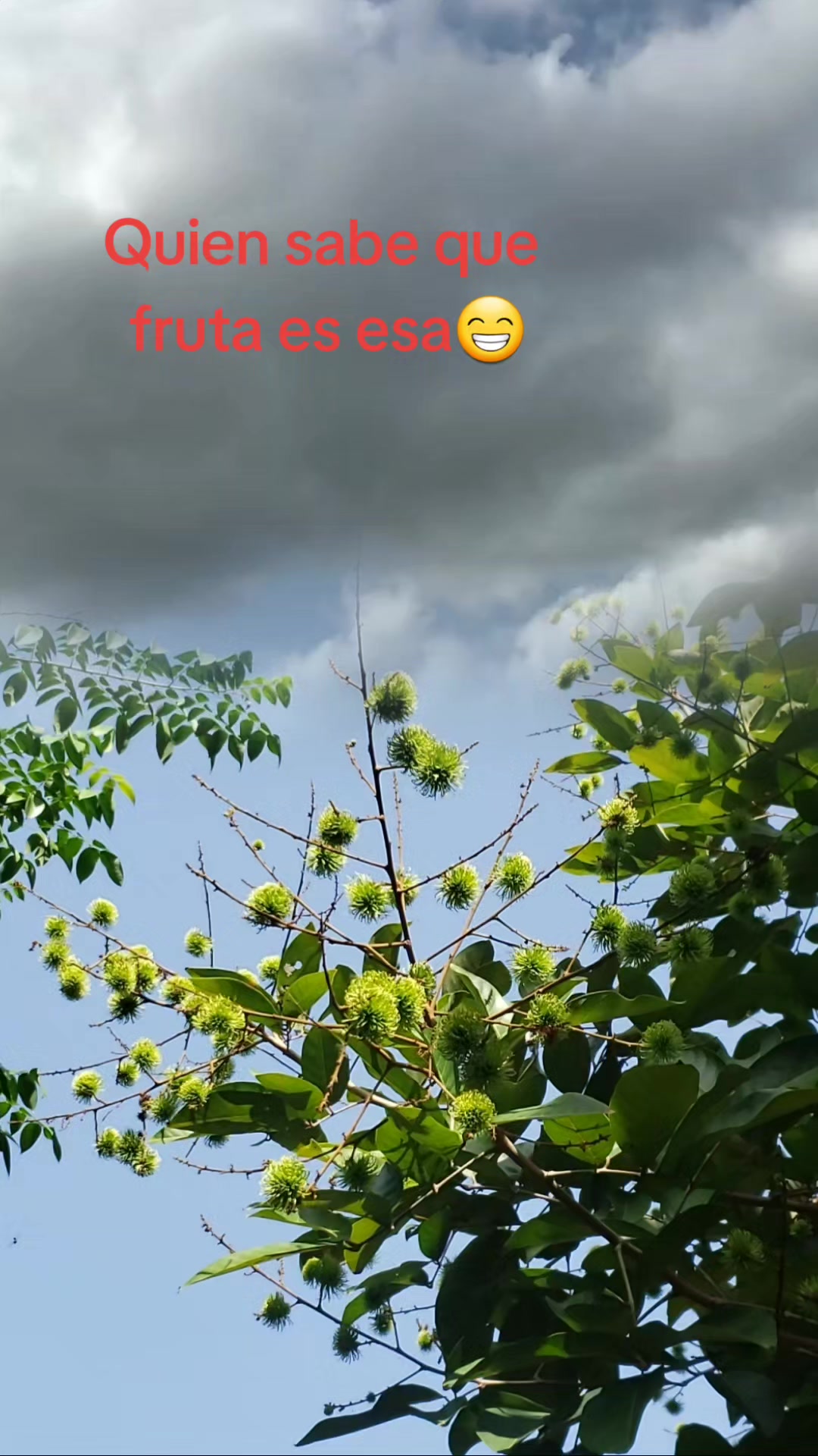 @🌽💜👅BRAYAN🆒️♋️🌽