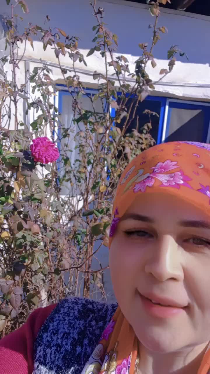 @Türkan Şen