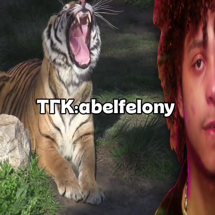 @тгк:abelfelony