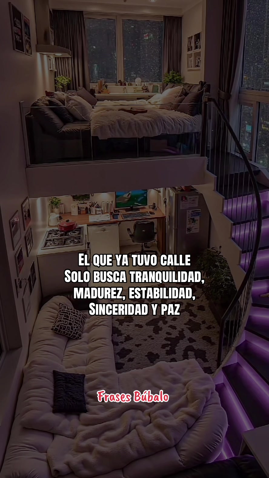 @Búbalo🀄️frases