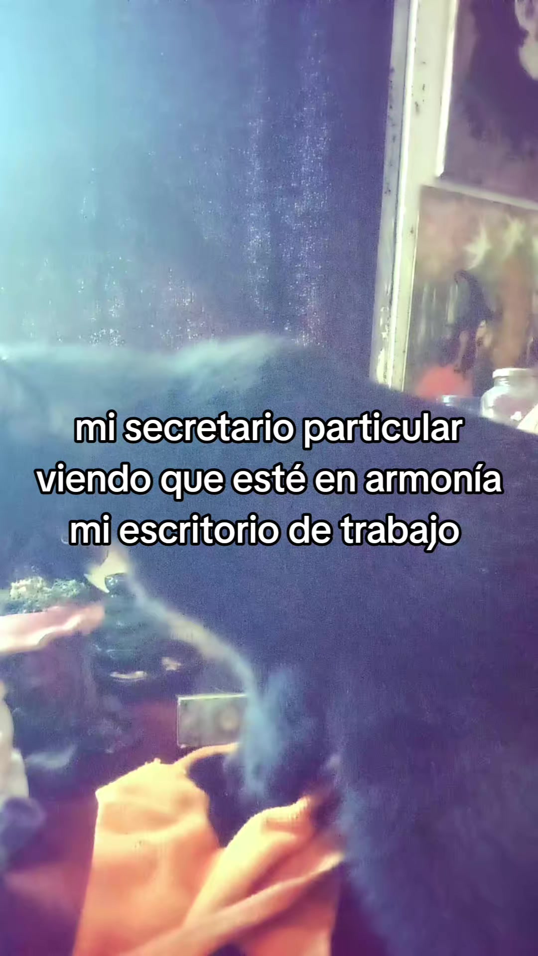 @Liriën Nymela 🧚♂️