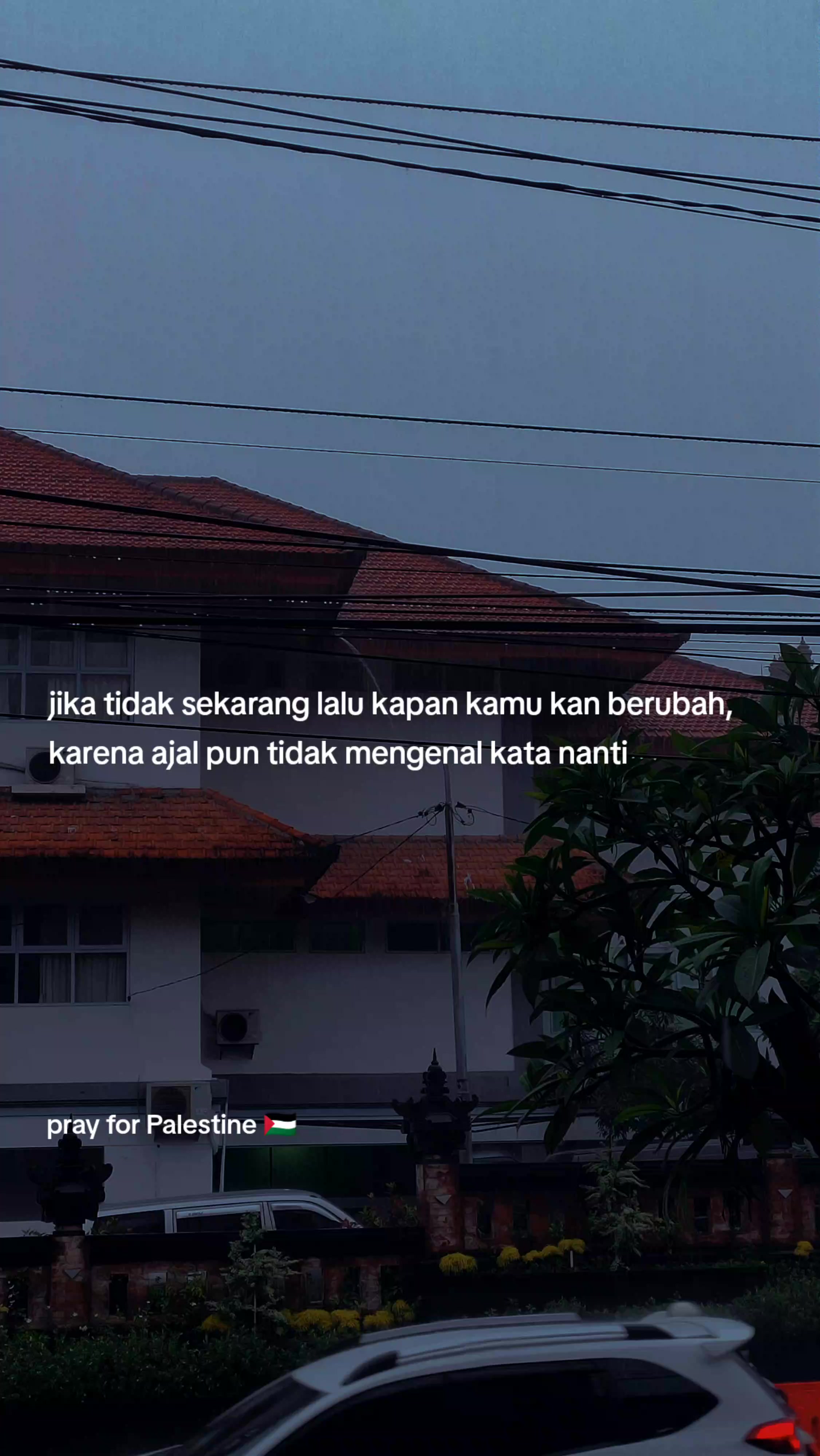 @No Lyrics 🎵