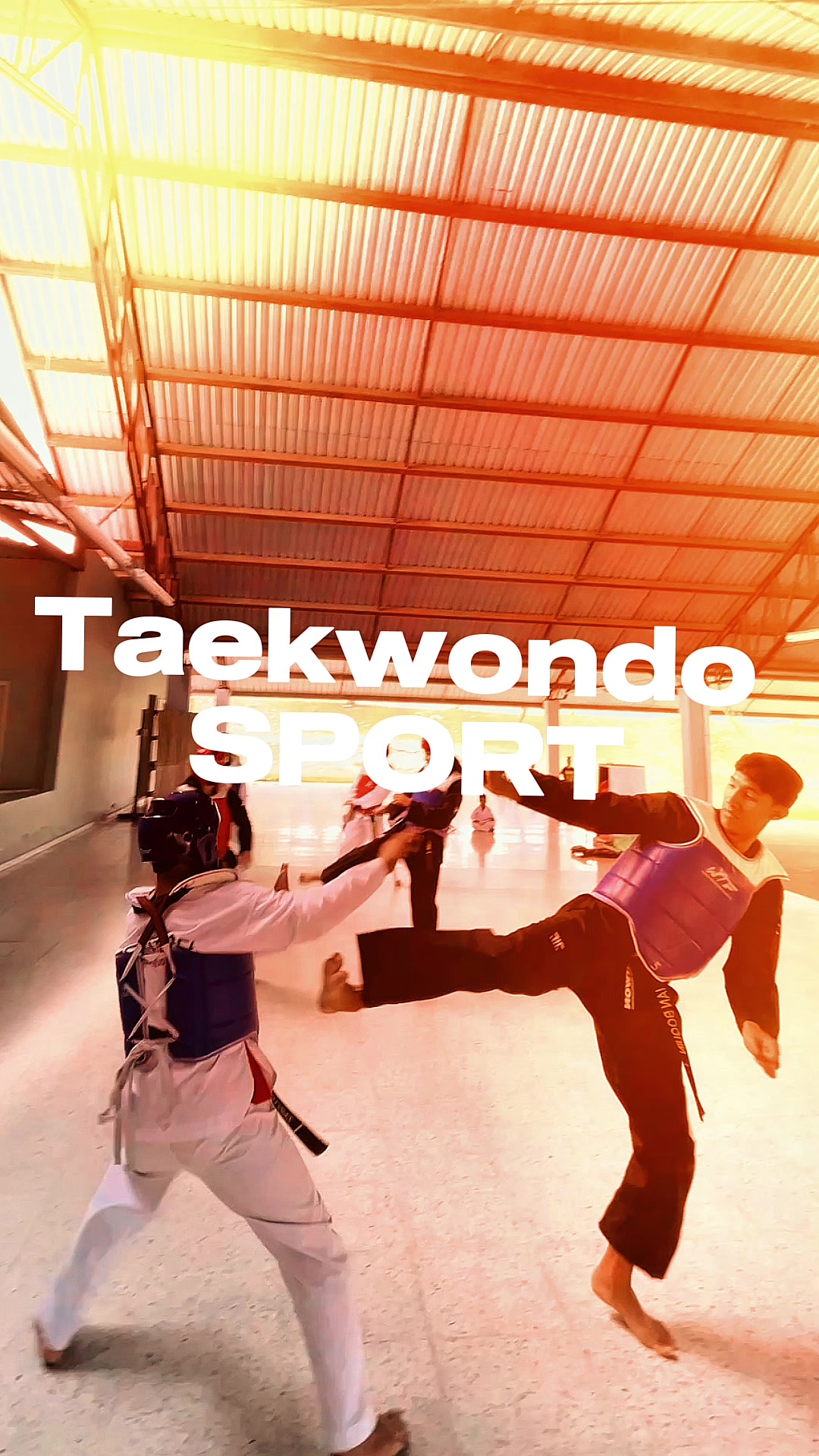 @Tizatillo🥋 Taekwondo ( IGLT )