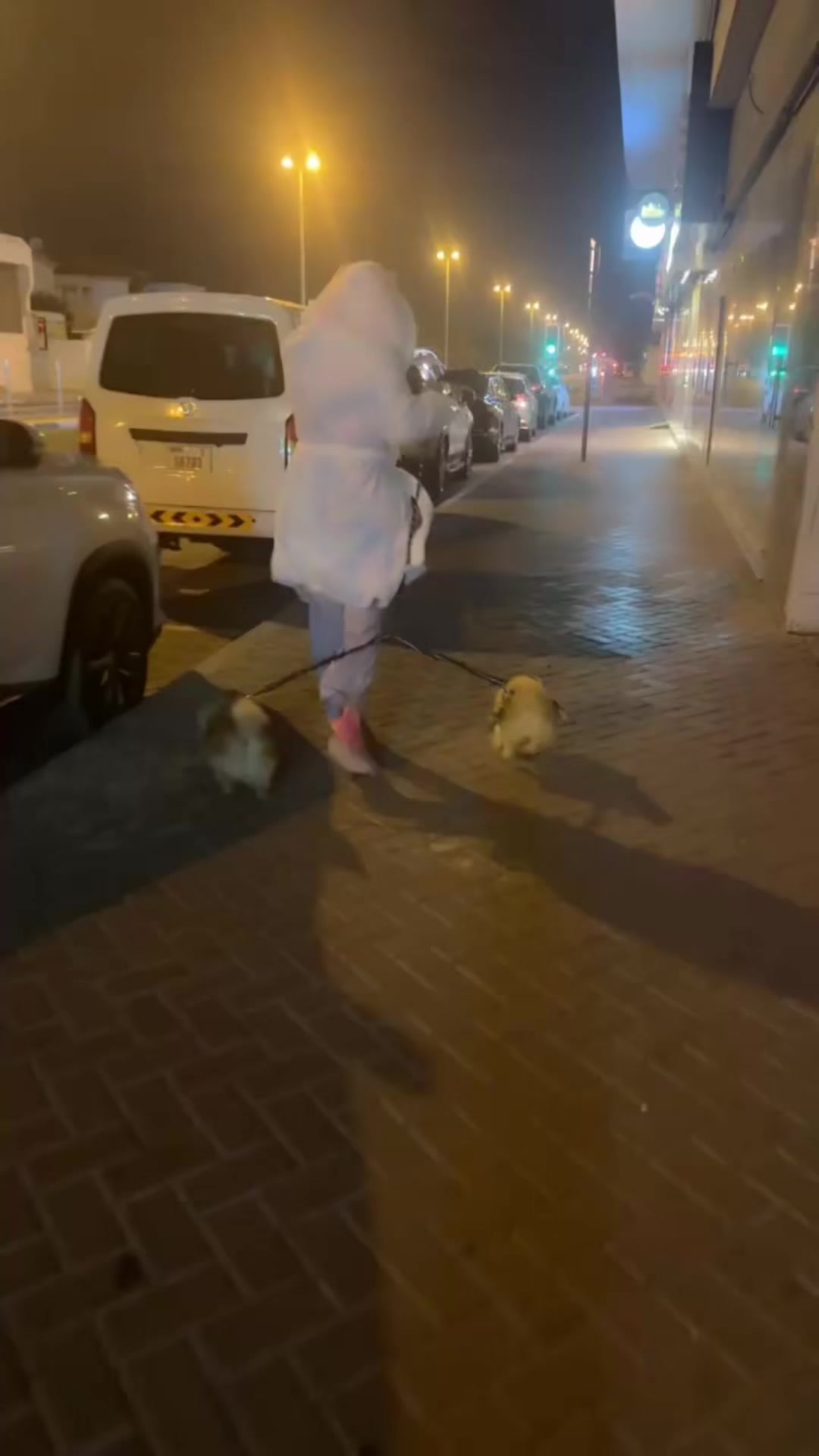 @شيوم شوشو