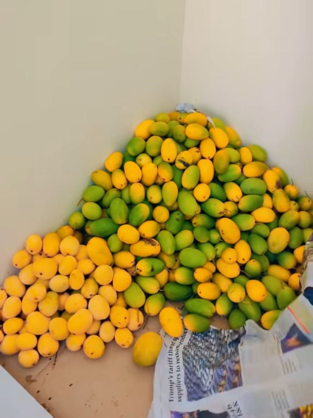 @🇦🇪@UAEFRESH🇦🇪