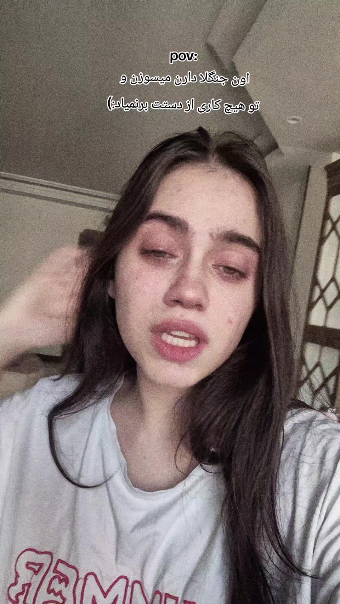 @niushaa