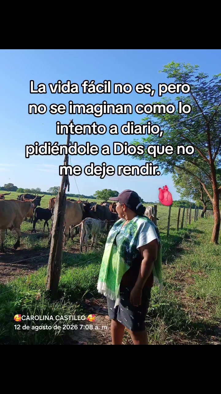 @CARITO C