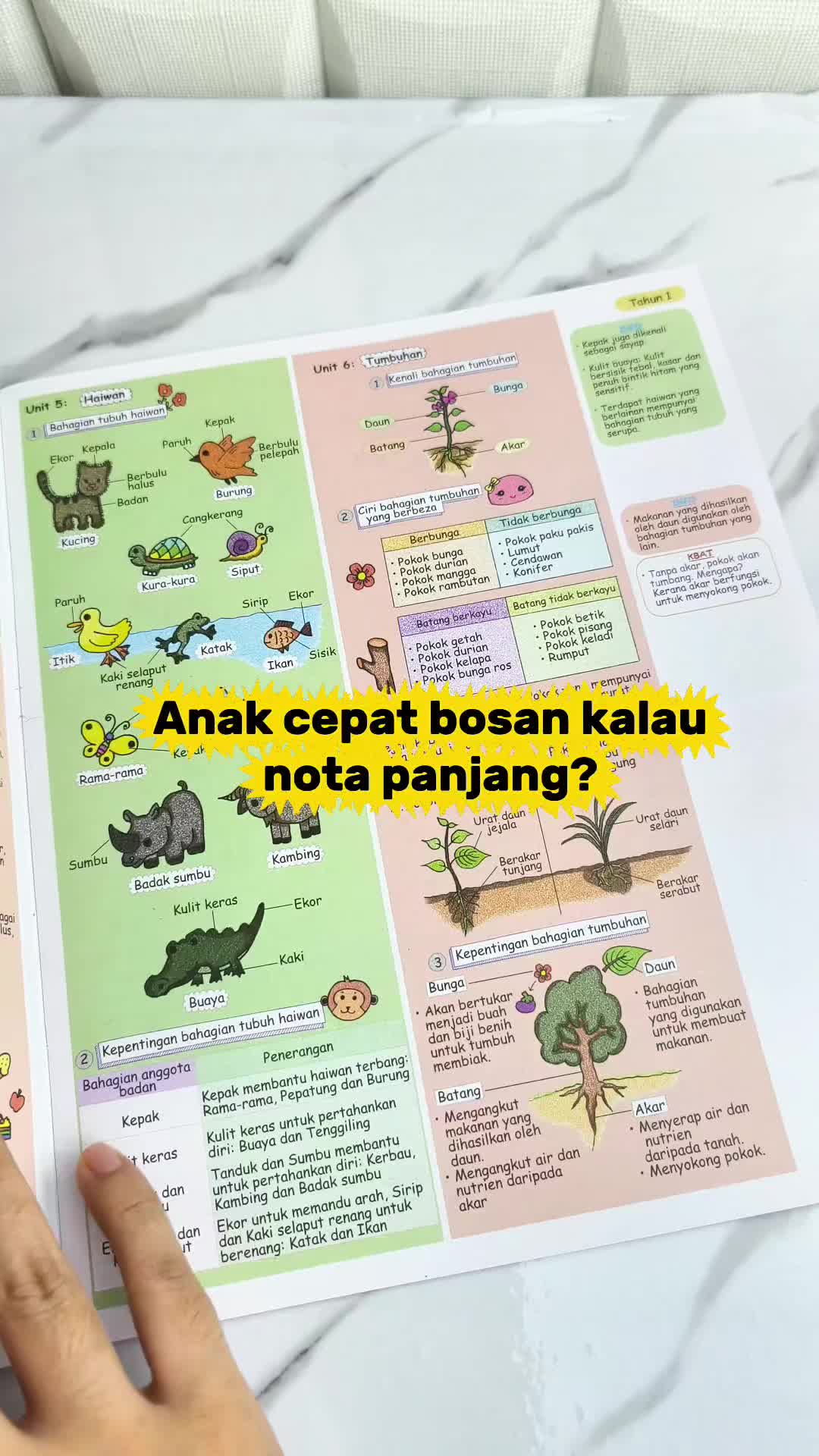 @Hana Hanis Aisyah