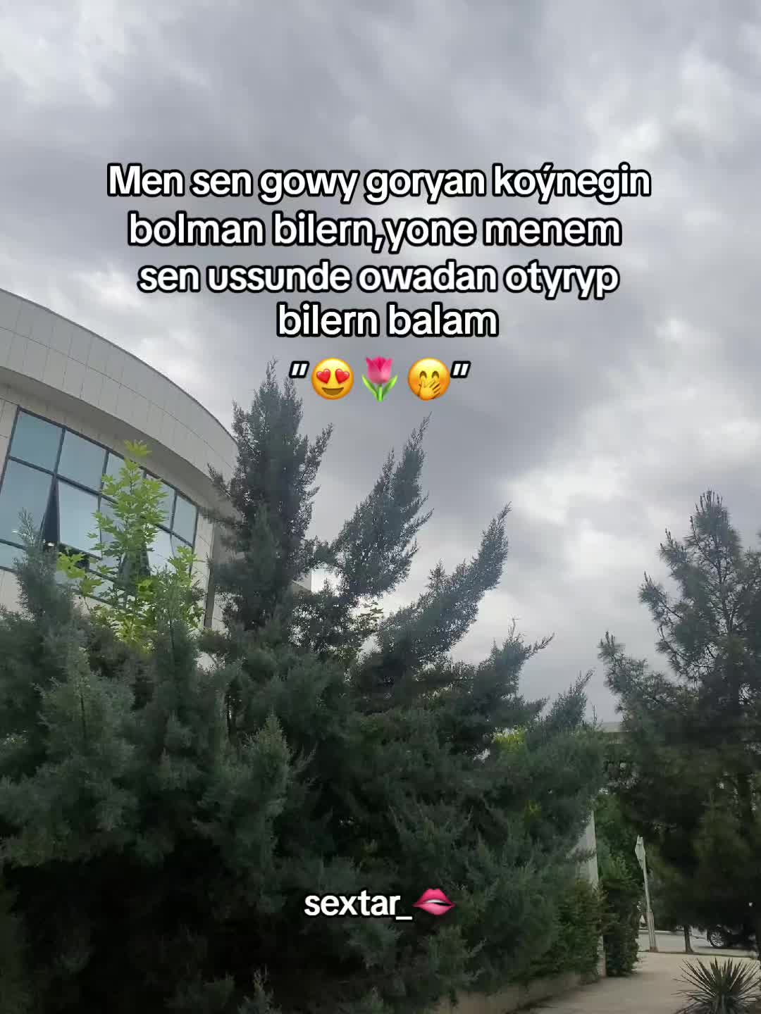 @sextar🇹🇲