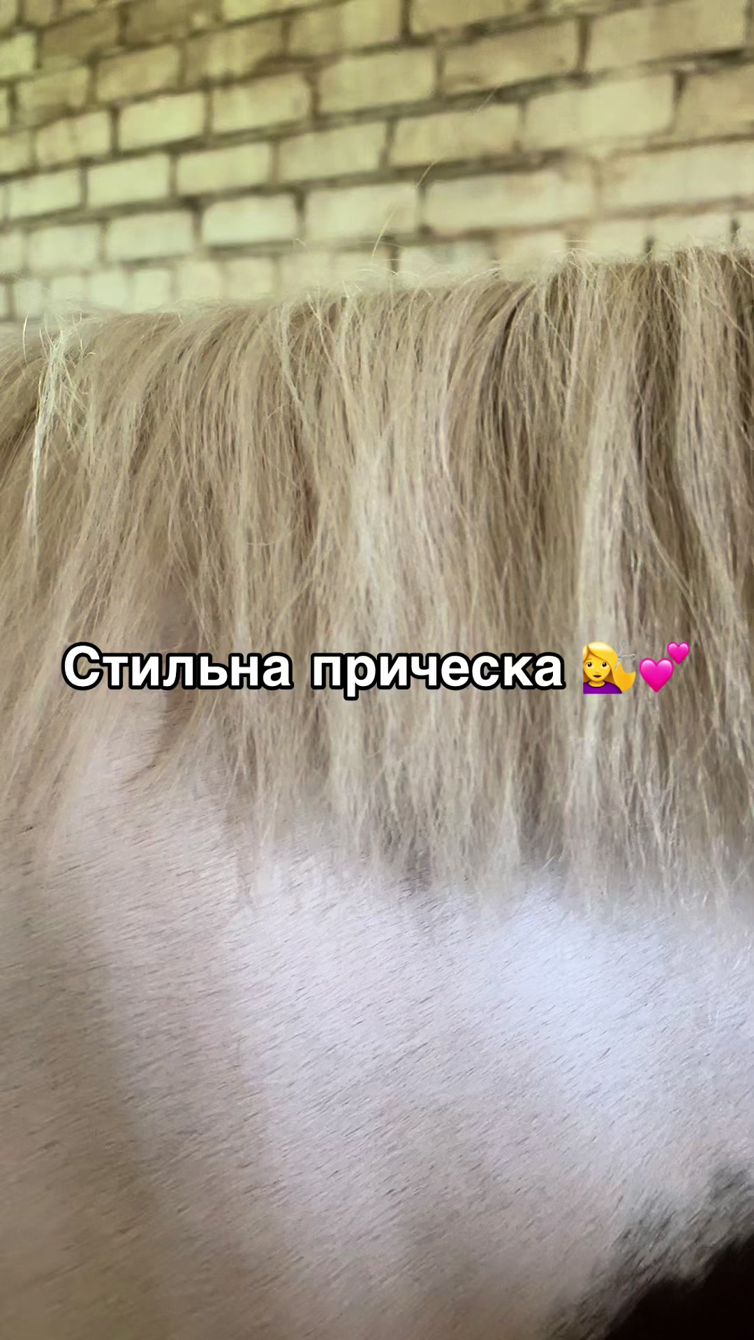 @Ли🐴