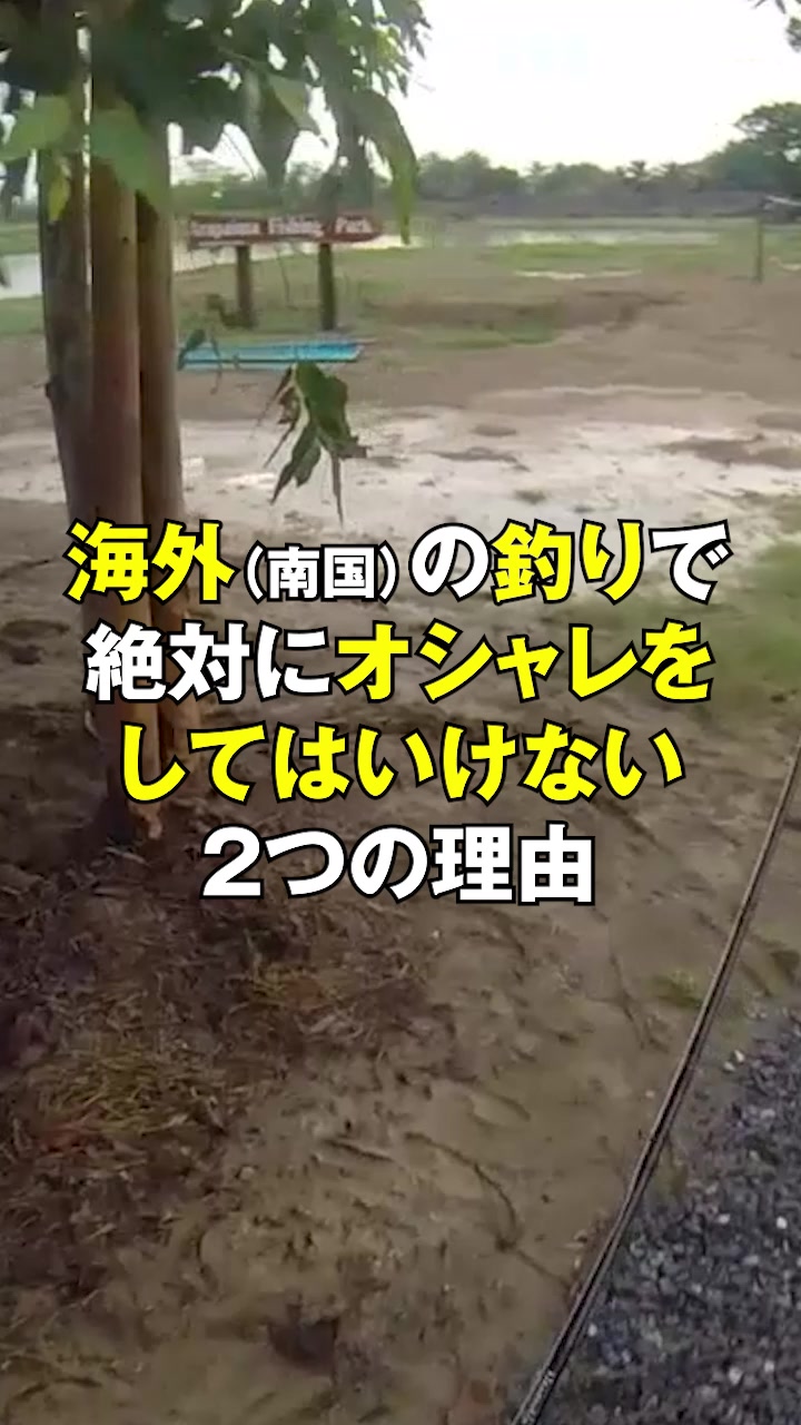 @エルドラド