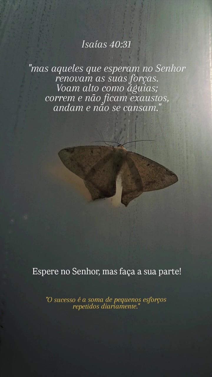 @Raquel Lima