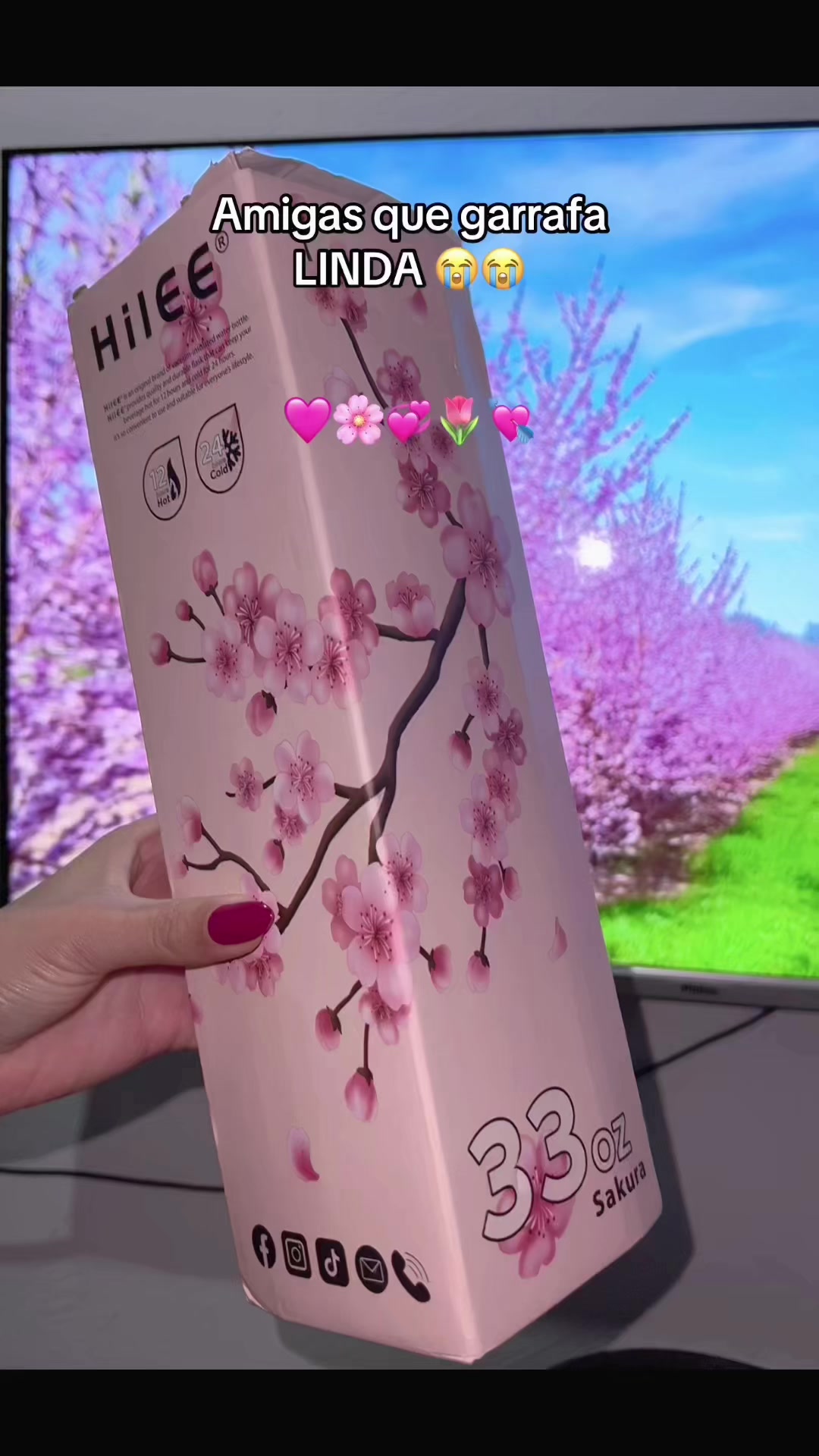 @๐๐๐ถ๐๐น๐ถ ๐คโพ