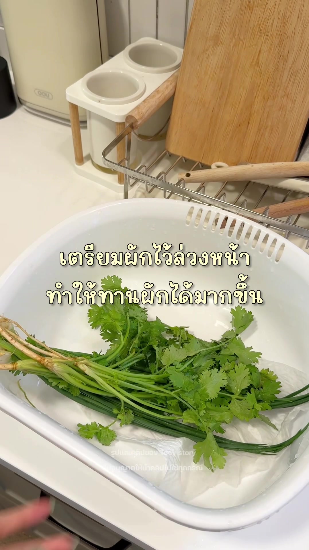 @Toey Story