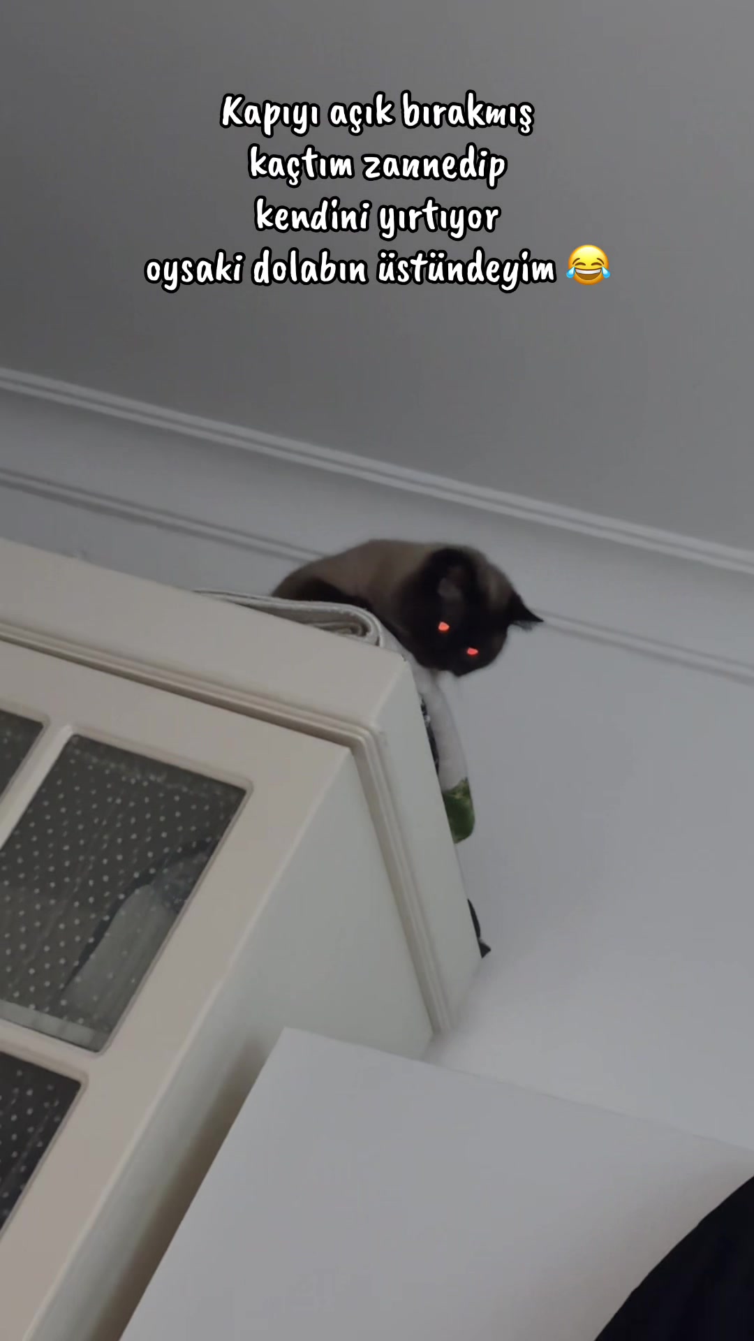 @ððððð ððð