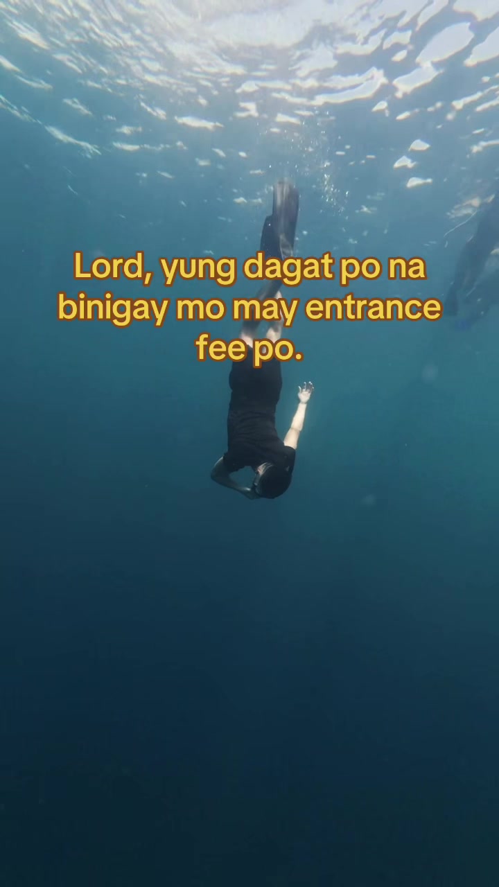 @Ryan Fernandez