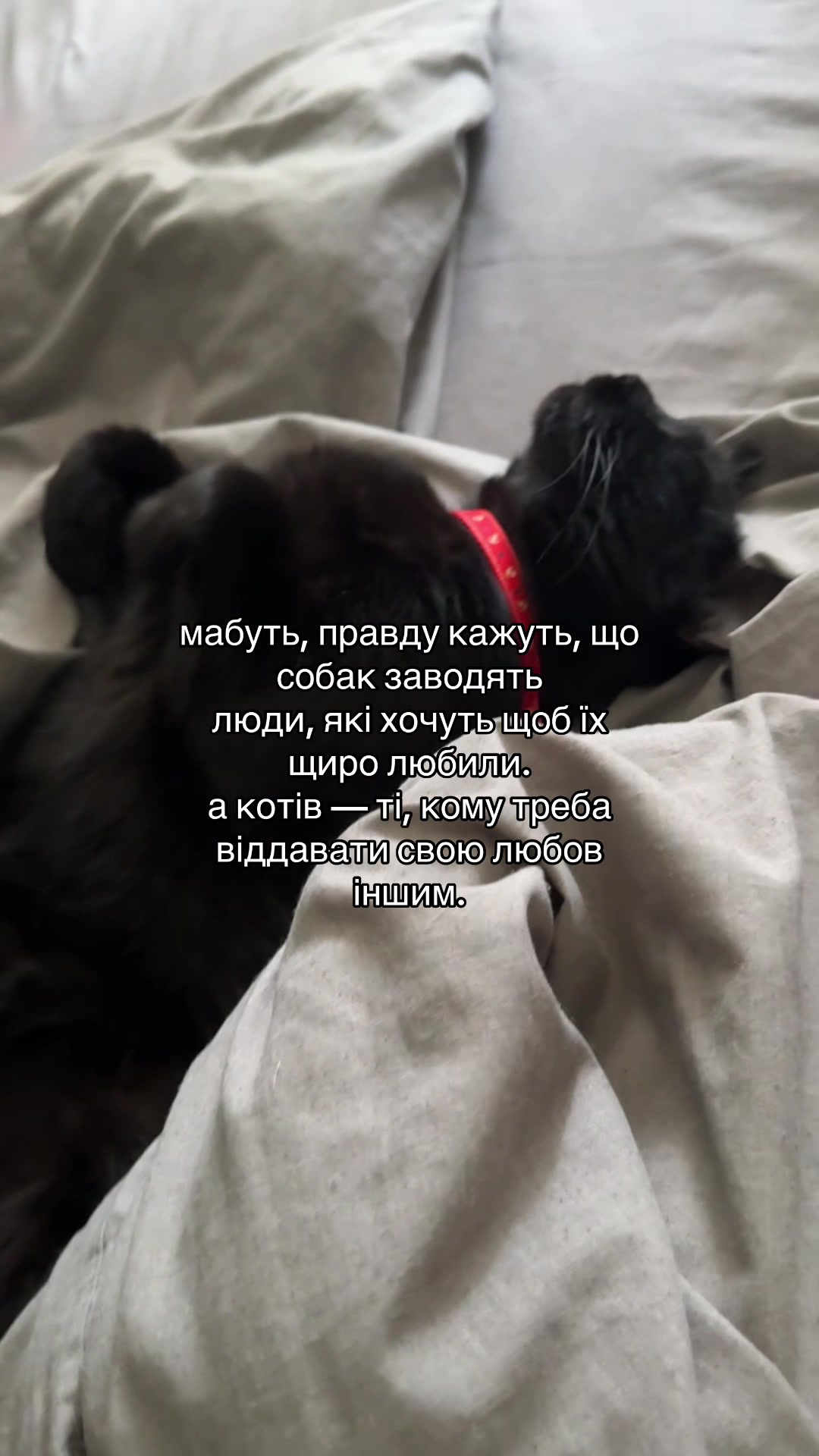 @Анастасія