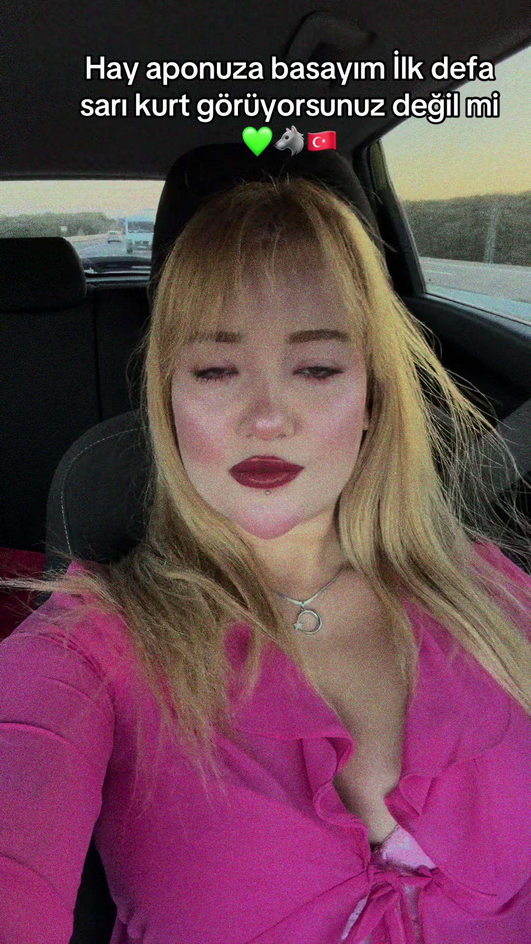 @Ecrin Dilek Gökçe 🦅🇹🇷