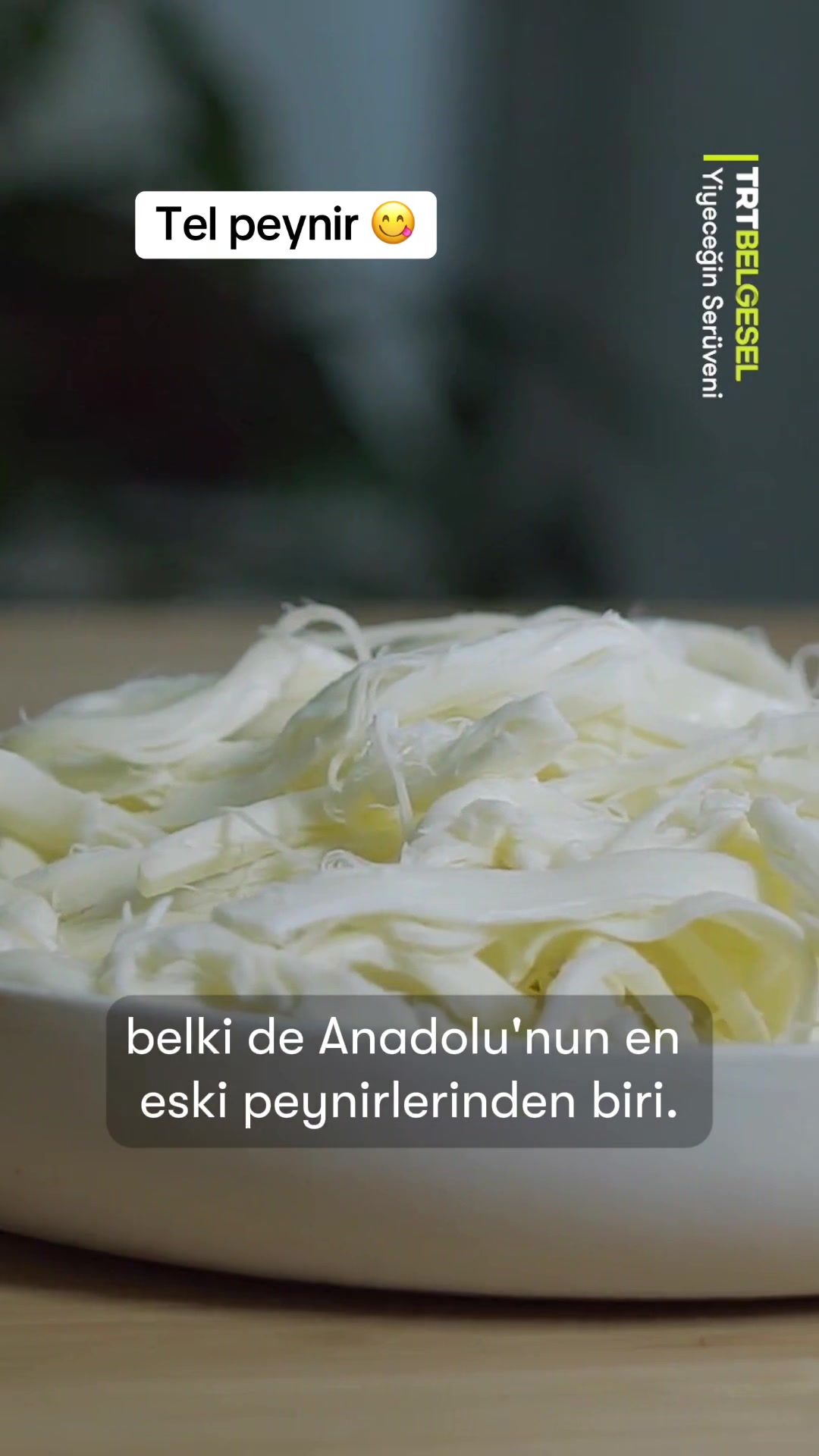 @TRT Belgesel
