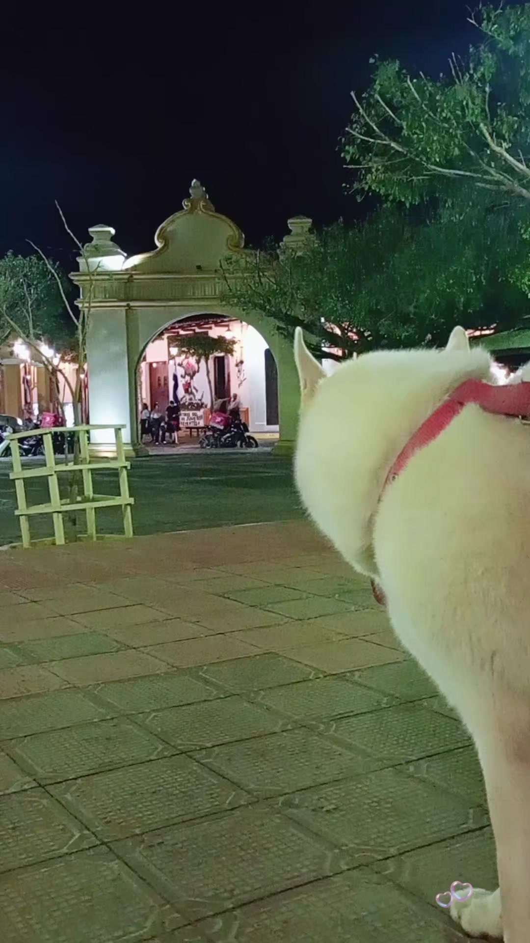 @Machita. 🦅