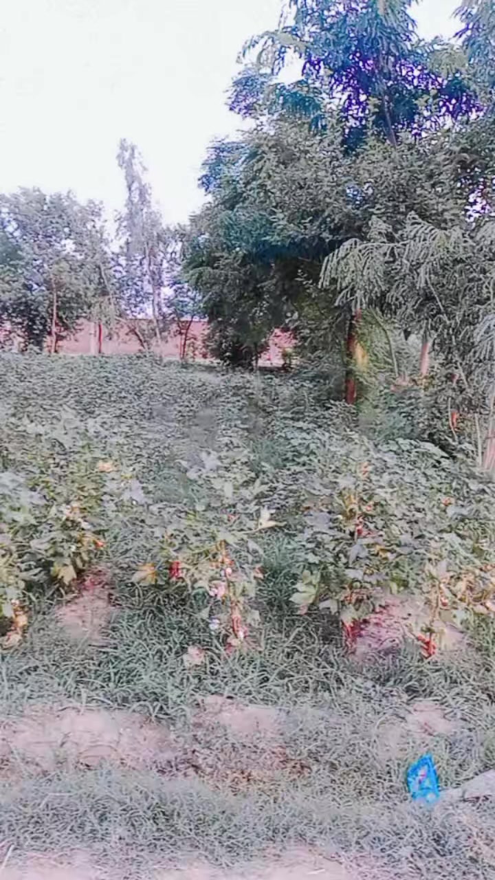 @Nadia khan 56822
