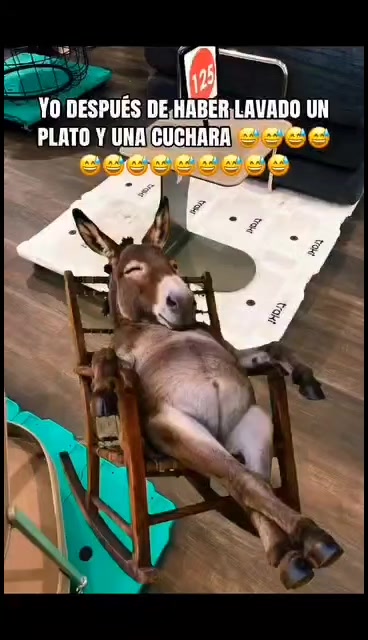 @Que bonito es lo 🐺 bonito🤠