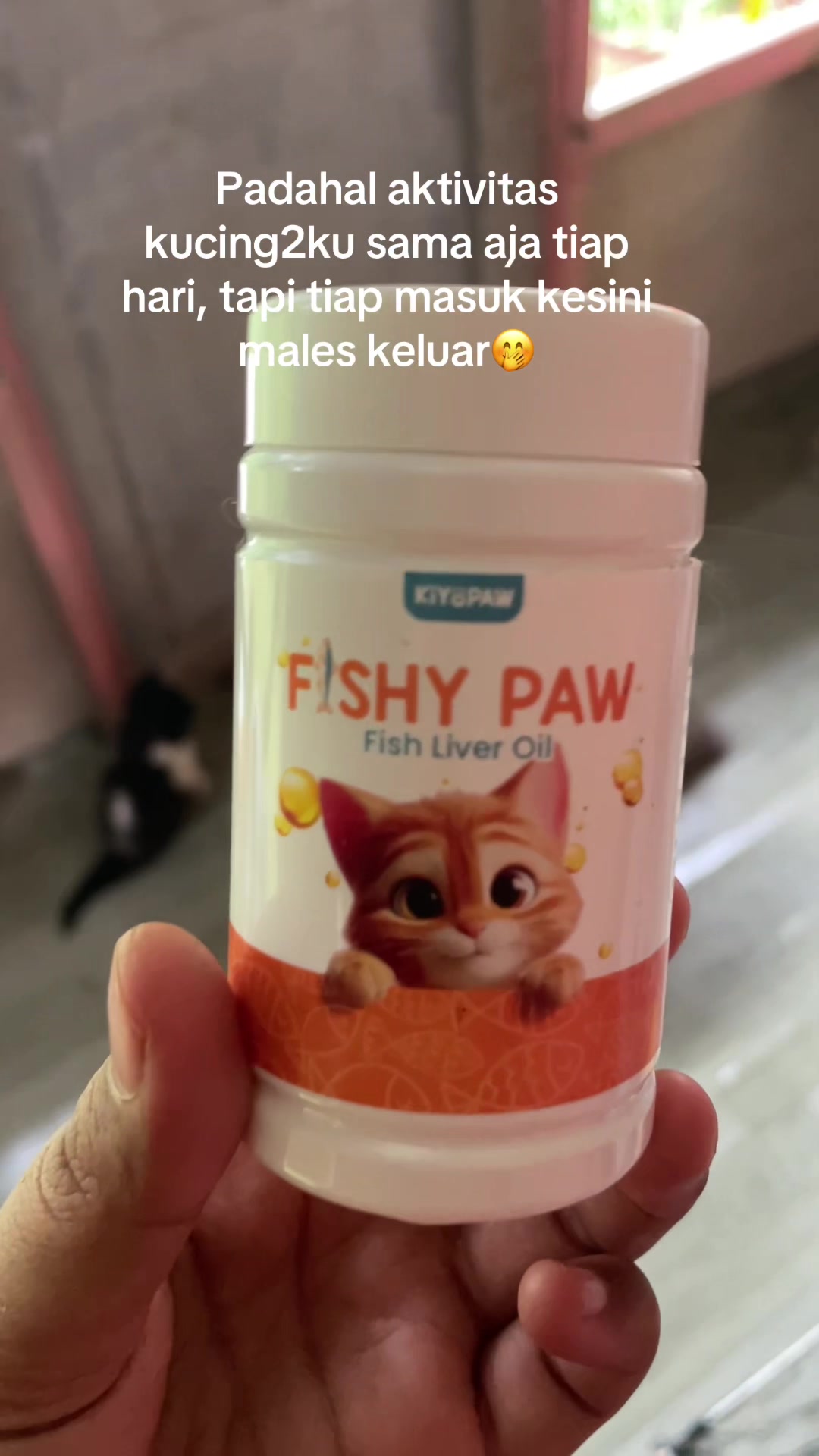 @Meow family