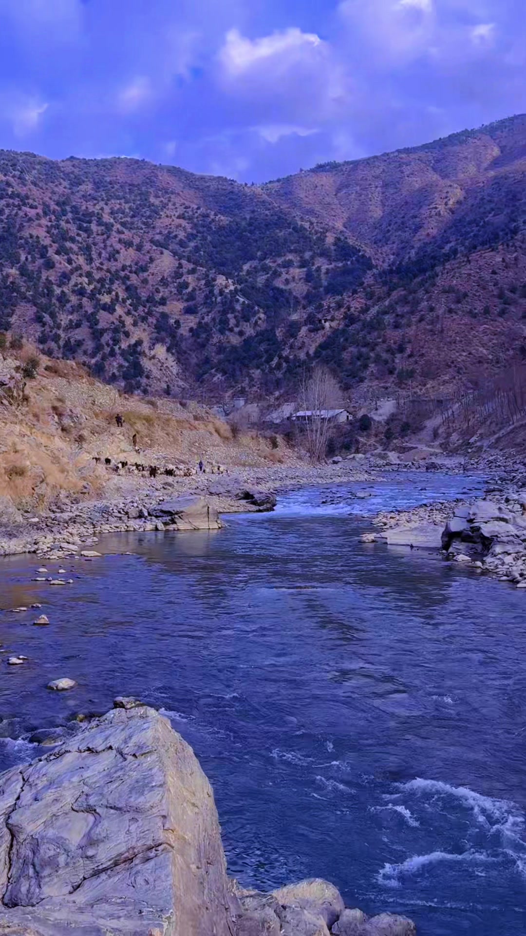 @Dr Abdullah jan