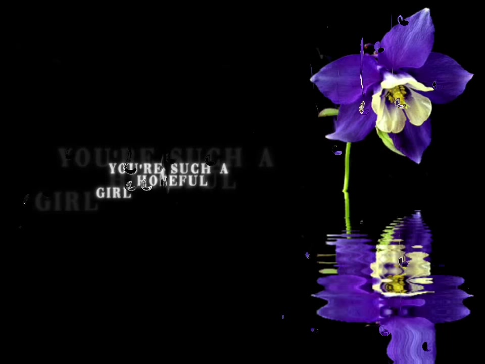@speed songs | lyrics