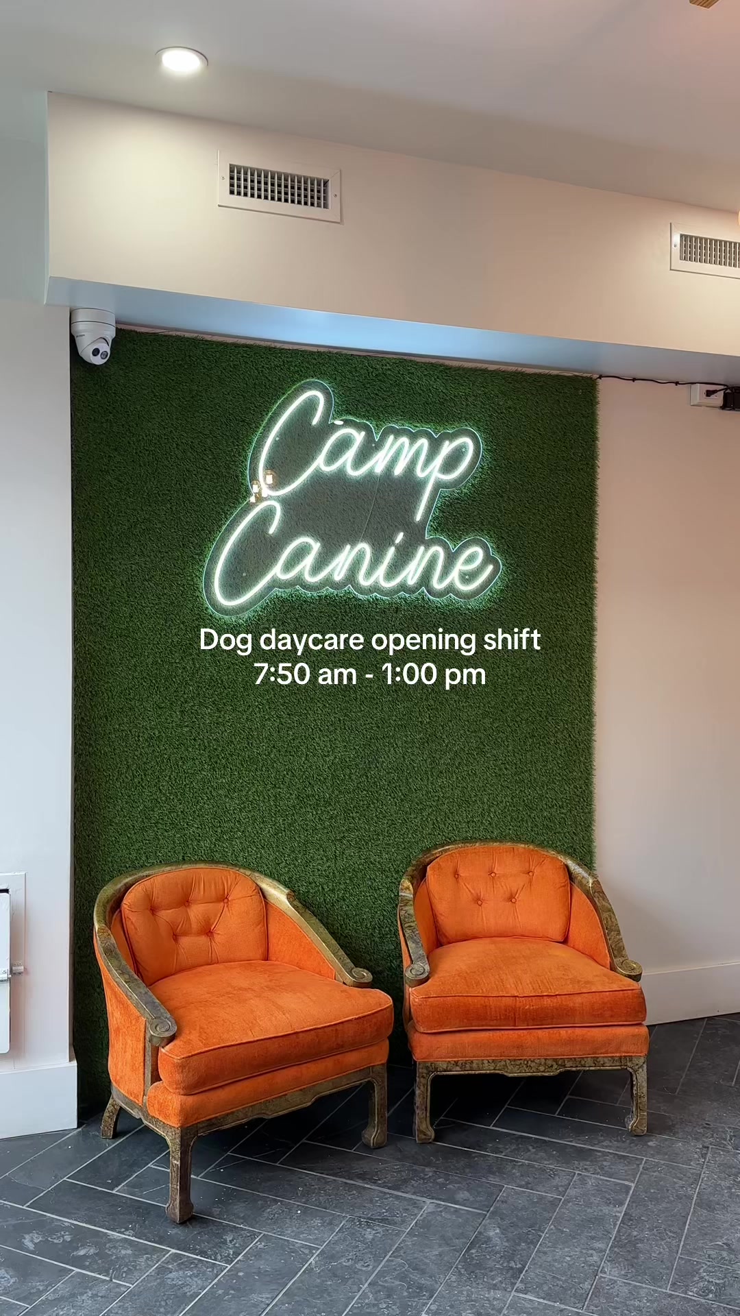 @Camp Canine Toronto