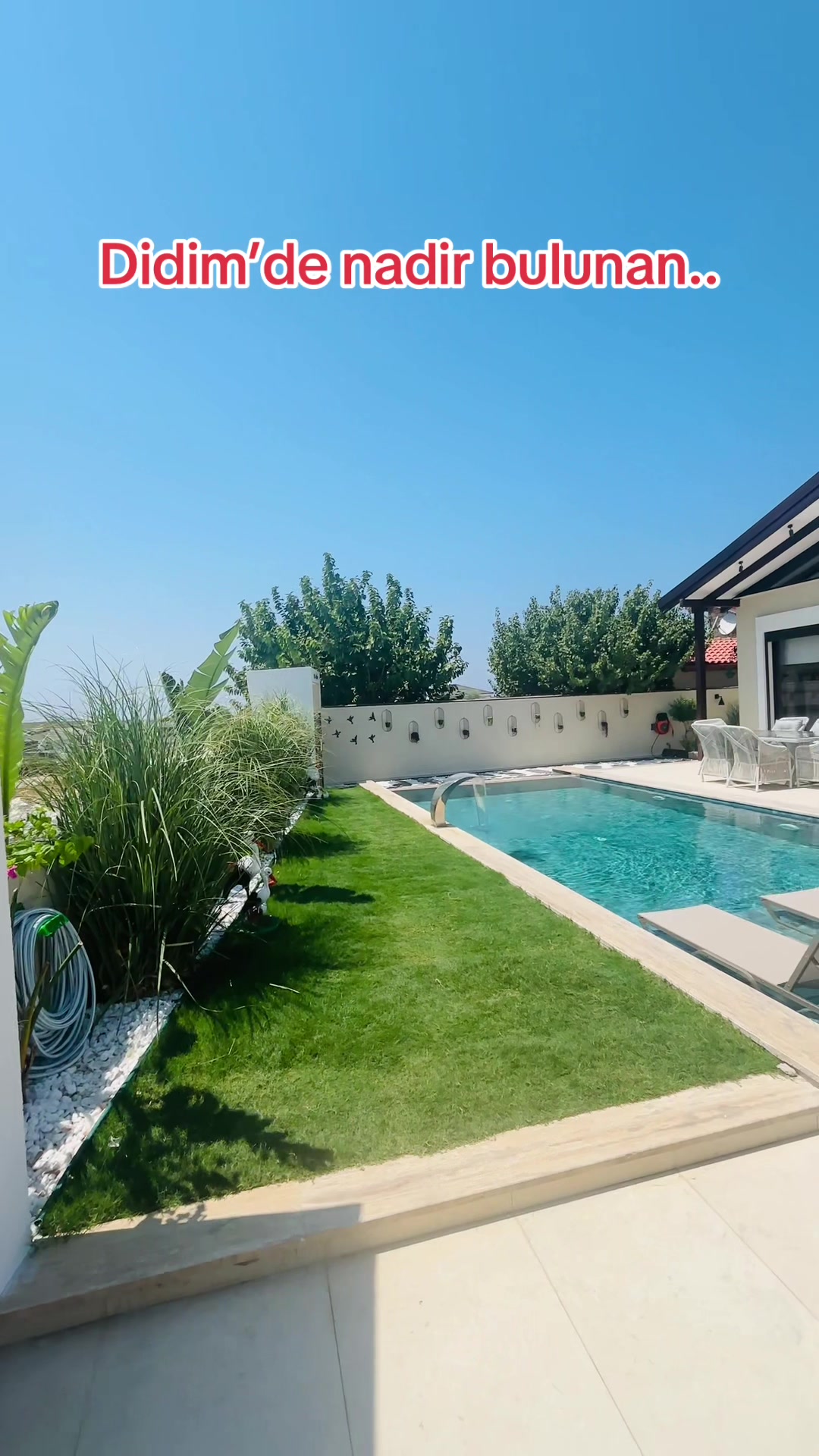 @Özkan Çelikkanat