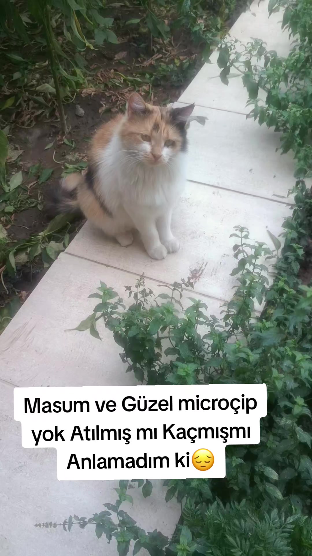 @MUSTAFA38